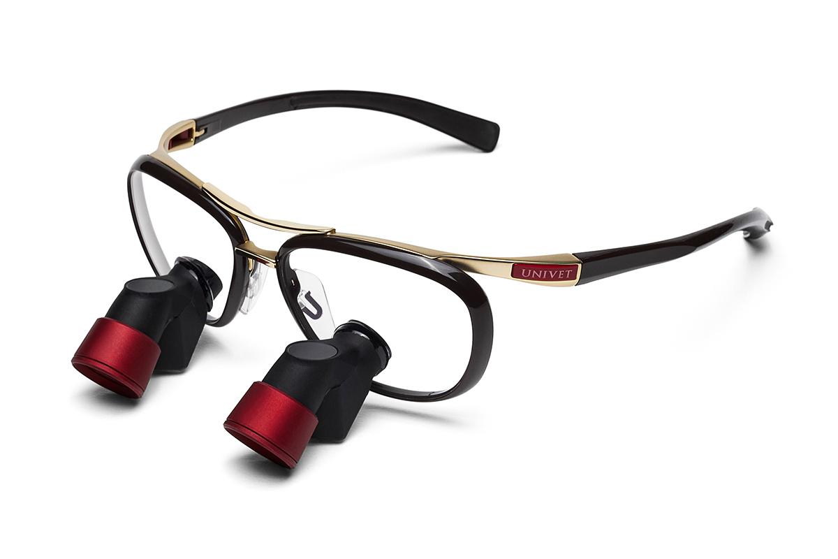 Endura Brown - Univet ITA Ergo Advanced